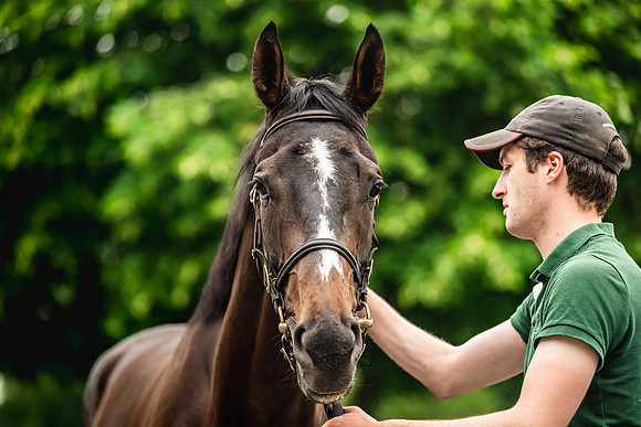 Goffs Arkle Sale Day 1-170
