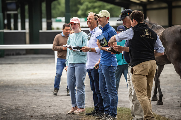 Goffs Arkle Sale Day 1-192