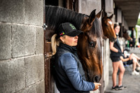 Goffs Arkle Sale Day 1-14