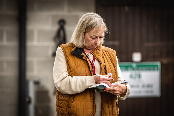 Goffs Arkle Sale Day 1-86