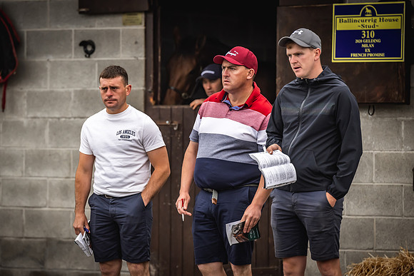 Goffs Arkle Sale Day 1-2