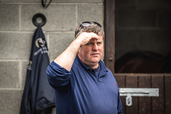 Goffs Arkle Sale Day 1-120