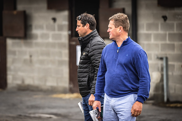 Goffs Arkle Sale Day 1-6