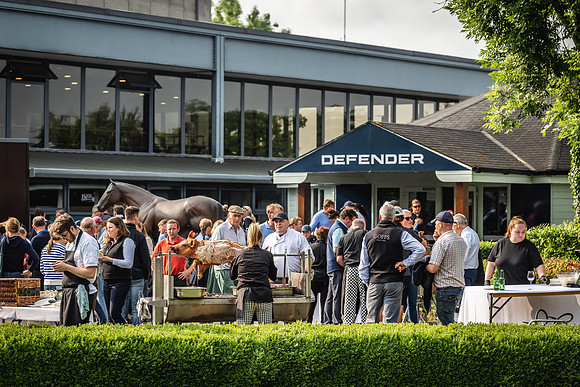 Goffs Arkle Sale Day 1-278