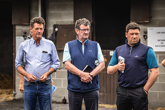 Goffs Arkle Sale Day 1-177