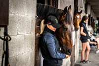 Goffs Arkle Sale Day 1-15