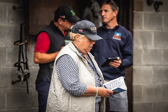 Goffs Arkle Sale Day 1-134