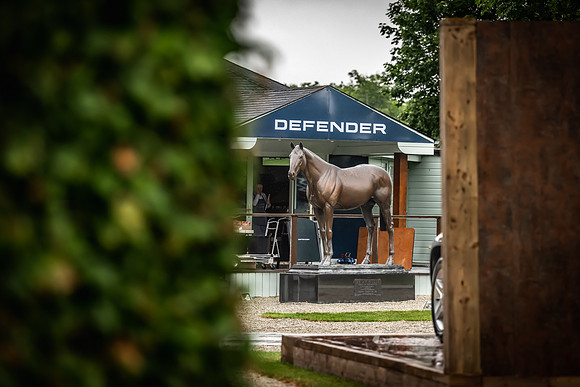 Goffs Arkle Sale Day 1-232