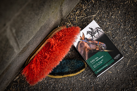 Goffs Arkle Sale Day 1-63