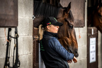 Goffs Arkle Sale Day 1-10