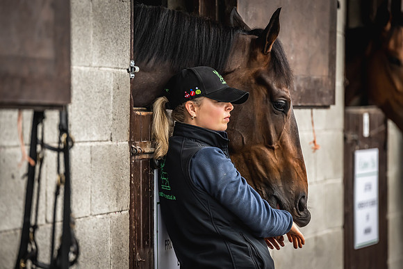 Goffs Arkle Sale Day 1-10