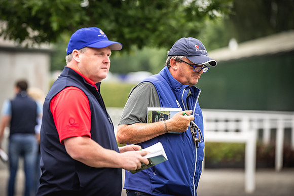 Goffs Arkle Sale Day 1-107