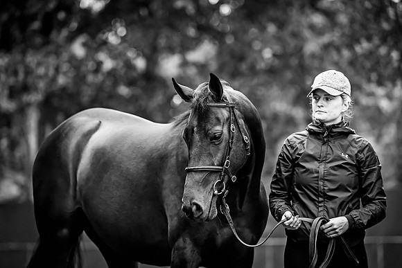 Goffs Arkle Sale Day 1-112