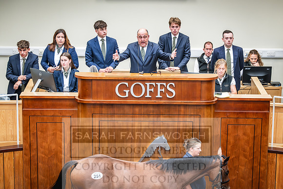 Goffs UK PY24-383