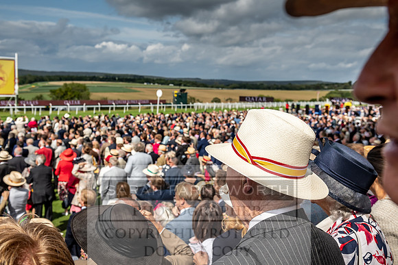GUK Goodwood Sale 2019-146