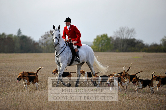 Brocklesby 021113 CF3 680