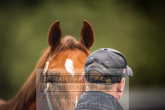 Goffs Orby 2022 Day 1-37