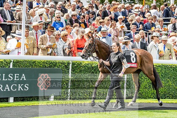 GUK Goodwood Sale 2019-81