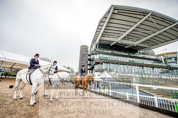 Side Saddle at Aintree 2018-24