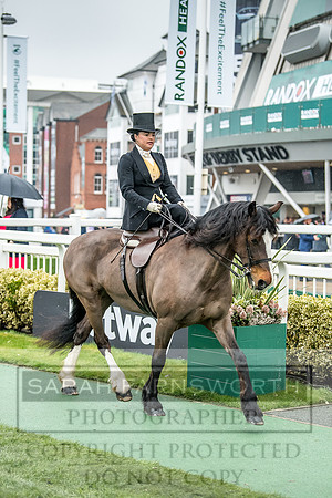 Side Saddle at Aintree 2018-111