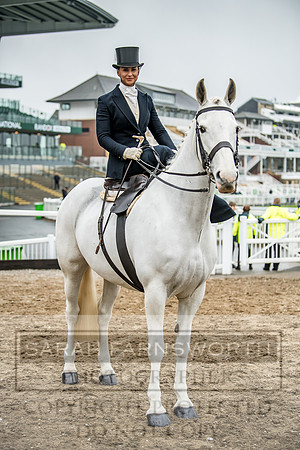Side Saddle at Aintree 2018-16