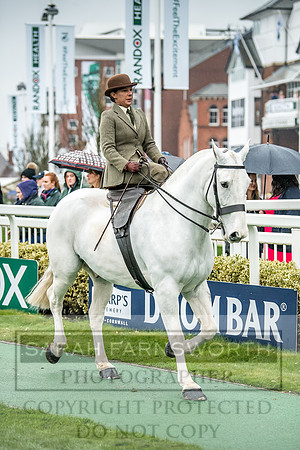 Side Saddle at Aintree 2018-115