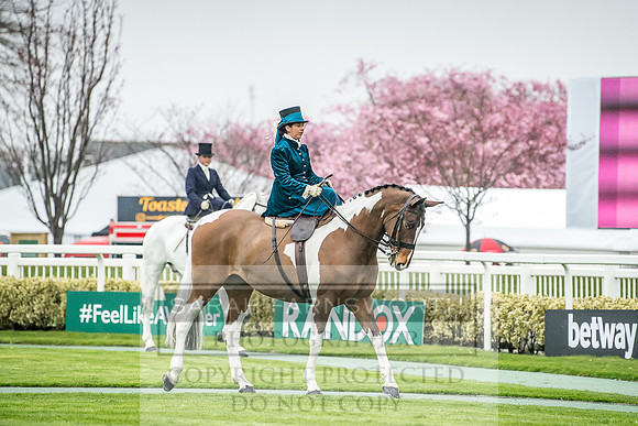 Side Saddle at Aintree 2018-127