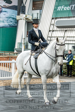 Side Saddle at Aintree 2018-90