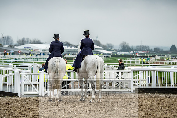 Side Saddle at Aintree 2018-29