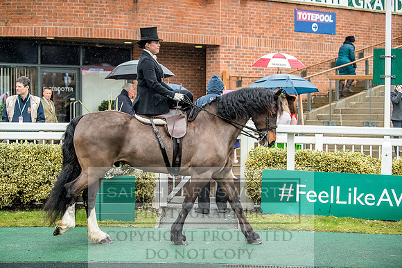 Side Saddle at Aintree 2018-94