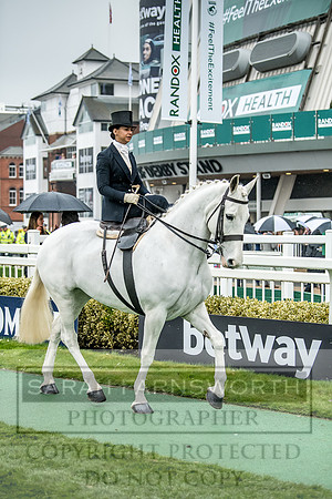Side Saddle at Aintree 2018-114