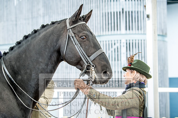 Side Saddle at Aintree 2018-75