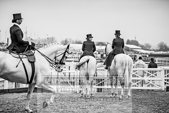 Side Saddle at Aintree 2018-26