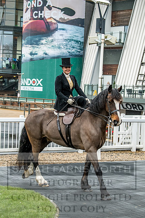 Side Saddle at Aintree 2018-83
