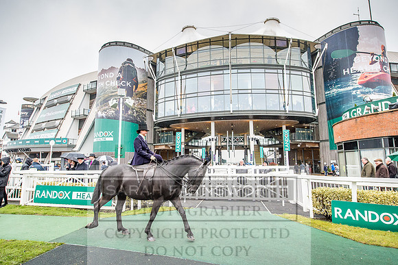Side Saddle at Aintree 2018-101