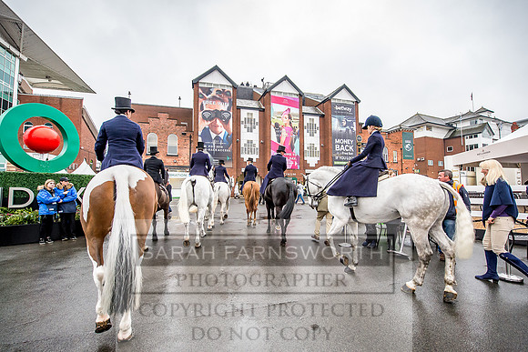 Side Saddle at Aintree 2018-71