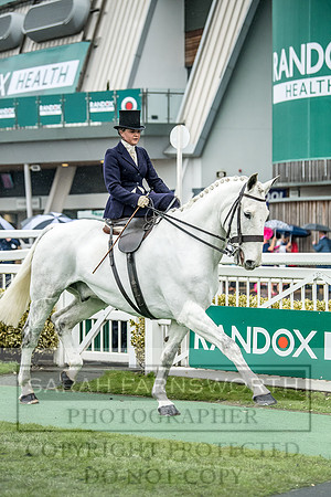 Side Saddle at Aintree 2018-116