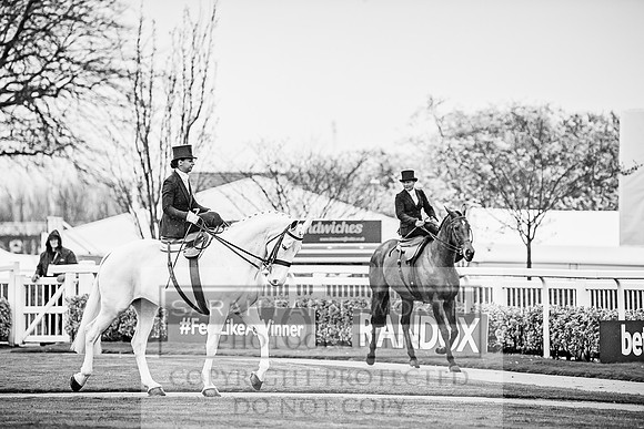 Side Saddle at Aintree 2018-123