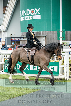 Side Saddle at Aintree 2018-117