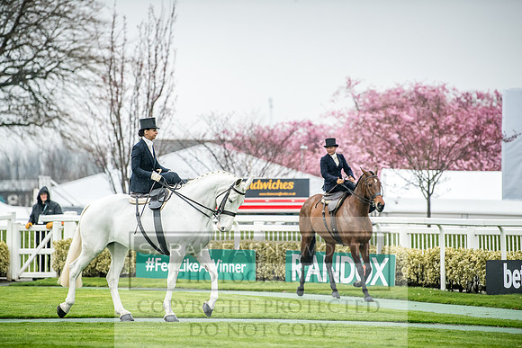 Side Saddle at Aintree 2018-124