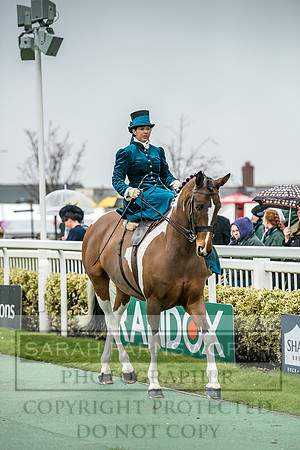 Side Saddle at Aintree 2018-112