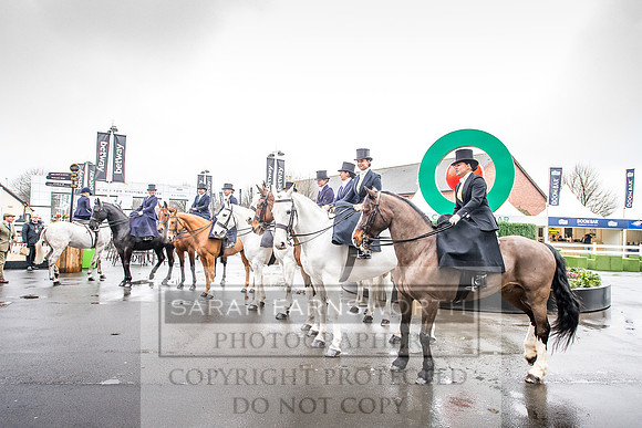 Side Saddle at Aintree 2018-46