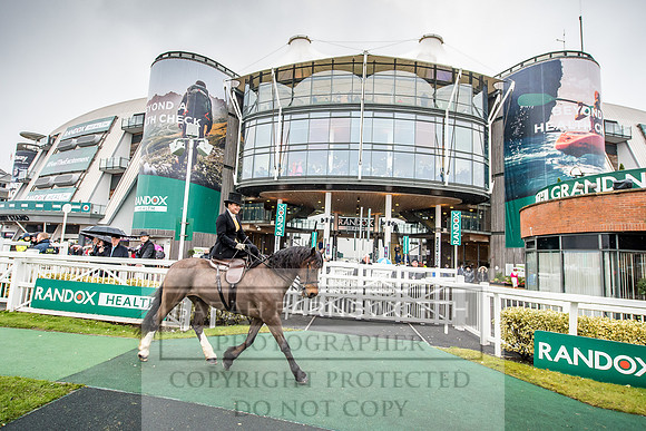 Side Saddle at Aintree 2018-104