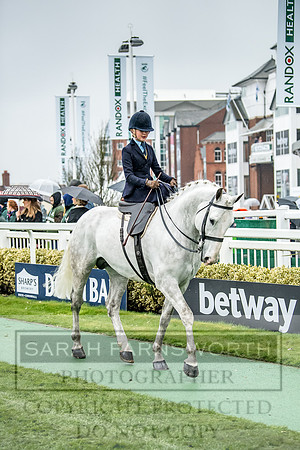 Side Saddle at Aintree 2018-107