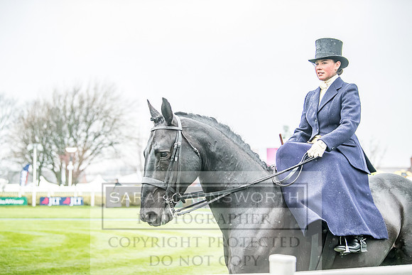 Side Saddle at Aintree 2018-126