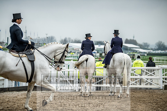 Side Saddle at Aintree 2018-27