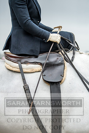 Side Saddle at Aintree 2018-11