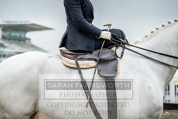 Side Saddle at Aintree 2018-14