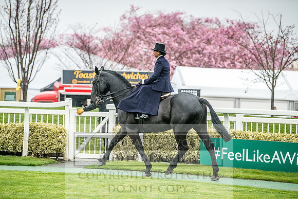 Side Saddle at Aintree 2018-132