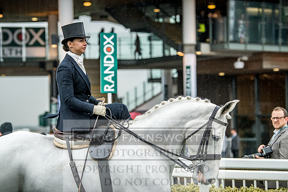 Side Saddle at Aintree 2018-121